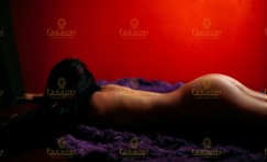   ,  Faraon
